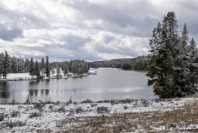 Yellowstone River May 2025